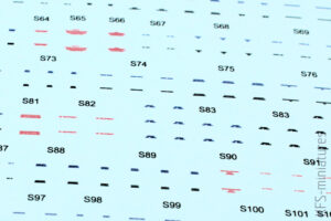 1/72 MiG-21bis - Dual Combo - Eduard 1/72 MiG-21bis - Dual Combo - Eduard