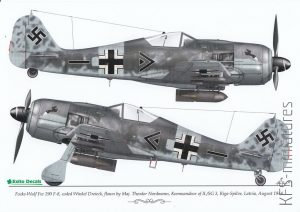 Luftwaffe Ground Attackers vol.1 – EXITO DECALS