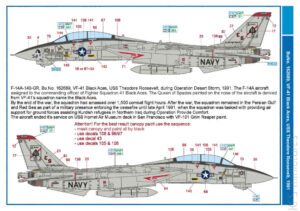 1/48 F-14A Tomcat – Kalkomanie