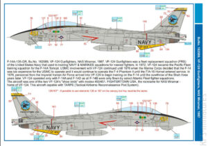 1/48 F-14A Tomcat – Kalkomanie