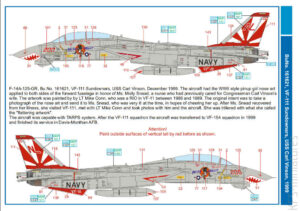 1/48 F-14A Tomcat – Kalkomanie