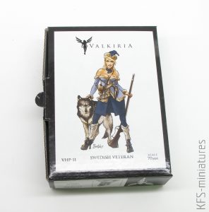 70mm Swedish Veteran - Valkiria Miniatures