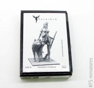 70mm Swedish Veteran - Valkiria Miniatures