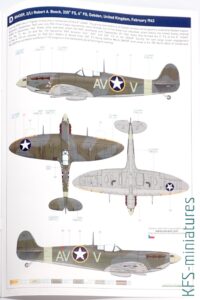 1/48 Spitfire Mk.Vb mid - Weekend - Eduard