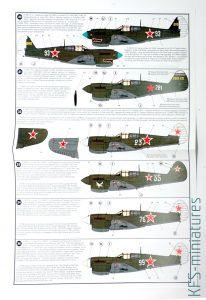 1/48 P-40 Warhawk in USSR - Kalkomanie - Begemot