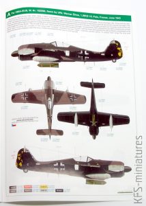 1/48 Jabo - Fw 190A - Eduard