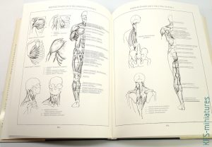 Figure Sculpting & Converting Techniques - Learning Series - AK-Interactive