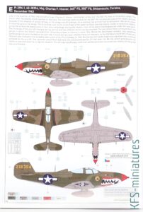 1/48 P-39N Airacobra - ProfiPACK - Eduard