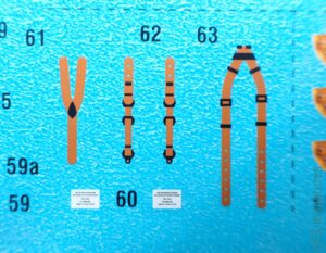 1/48 Sea Hurricane Mk IIc - Arma Hobby