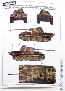 1/72 Panther Ausf. G w/Steel road wheels & AA Armour - Vespid Models