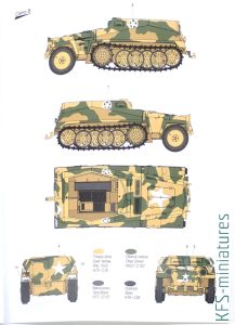 1/72 Captured Sd.Kfz 250 - Special Armour