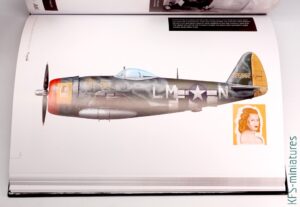 The 56th Fighter Group In World War II - AK Interactive