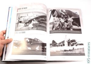 The 56th Fighter Group In World War II - AK Interactive