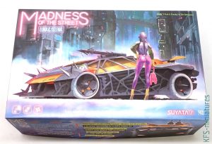 1/32 Luna & Selena - Madness of the street - Suyata