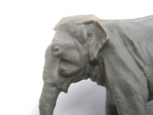 1/48 Asian Elephant (1 figure) - CMK