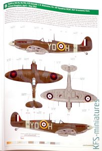 1/48 Eagle's Call - Spitfire Mk.V - Eduard