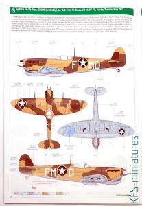 1/48 Eagle's Call - Spitfire Mk.V - Eduard