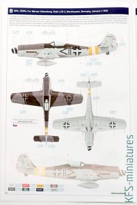 1/48 Fw 190D-9 - Weekend - Eduard