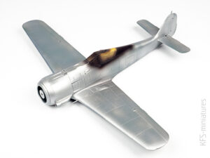1/48 Captured Fw 190A-5 1/48 Captured Fw 190A-5