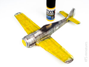 1/48 Captured Fw 190A-5 1/48 Captured Fw 190A-5