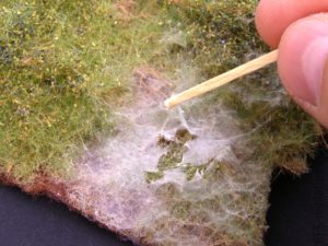 Spider Serum - Green Stuff World