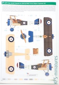 1/48 Camel & Co. - Sopwith Camel - Eduard