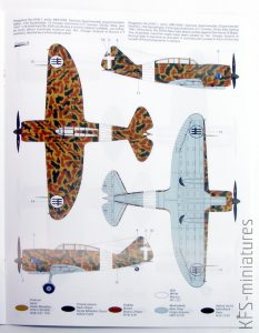 1/48 Reggiane Re.2000 Serie I - Special Hobby