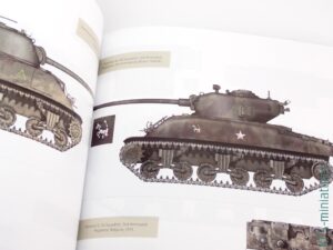 Vehicles of The Polish 1st Armoured Division - AK-Interactive