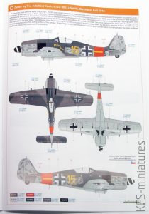 1/48 Fw 190A-8/R2 - Eduard