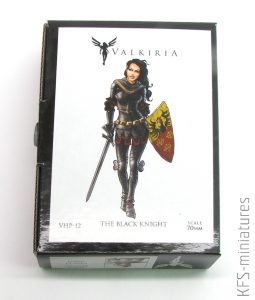 70mm Black Knight - Valkiria Miniatures