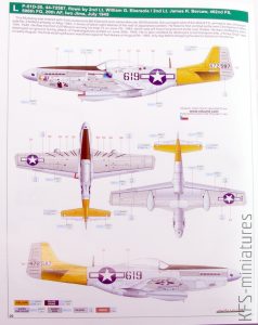 1/48 P-51D Mustang - Tales of Iwojima - Eduard