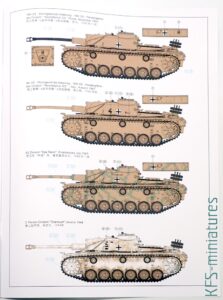 1/35 StuG.III Ausf. G Early - Rye Field Model