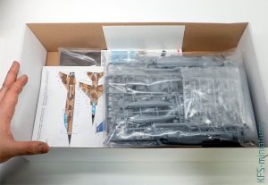 1/72 Mirage F.1 Duo Pack & Book - Special Hobby