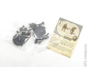 1/48 Fallschirmjäger Observer Squad - DUST 1947