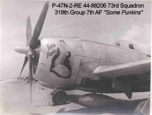1/72 Republic P-47N Thunderbolt - Sword